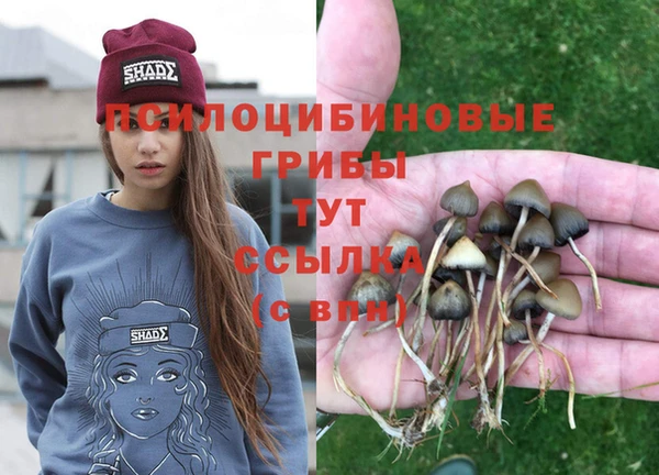 стаф Алексин